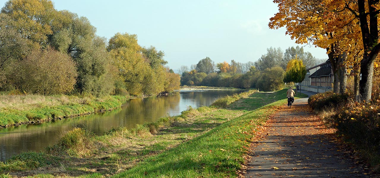 Radweg an der Donau bei Riedlingen